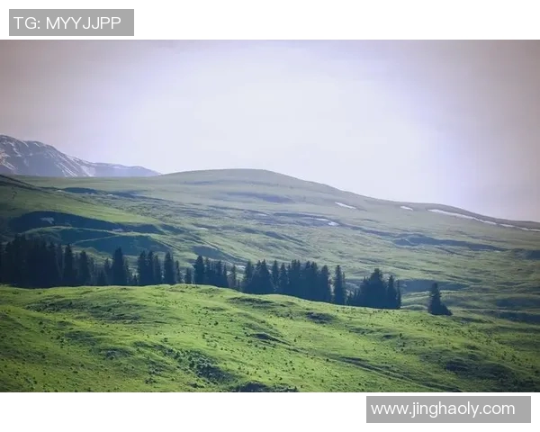 探索阿拉巴的魅力与文化底蕴揭秘这片神秘土地的历史与风俗